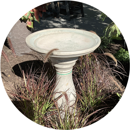 Concrete Bird Bath.